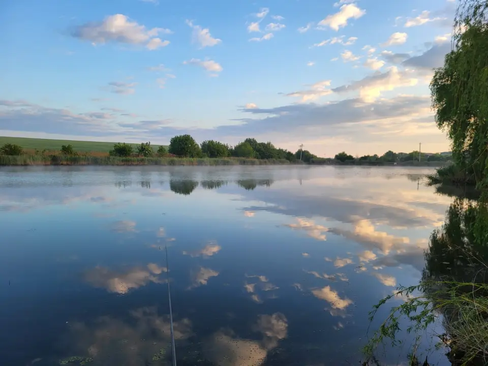 Casa individuală de vânzare Balotești, Ilfov - rezidență de lux cu ponton pe lac - imaginea 3