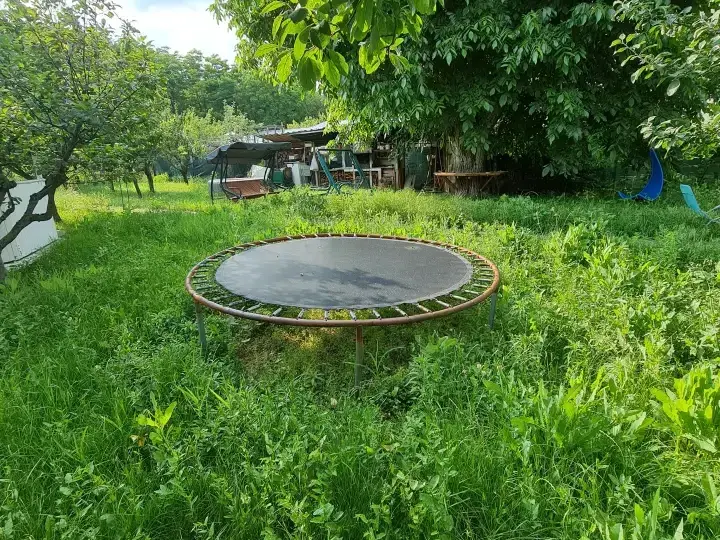 casa de vânzare în Buftea, Ilfov - suprafață extinsă și teren impresionant - imaginea 4