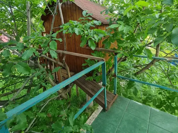 casa de vânzare în Buftea, Ilfov - suprafață extinsă și teren impresionant - imaginea 5