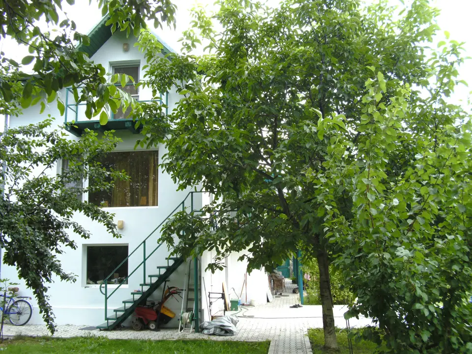 casa de vânzare în Buftea, Ilfov - suprafață extinsă și teren impresionant - imaginea 6