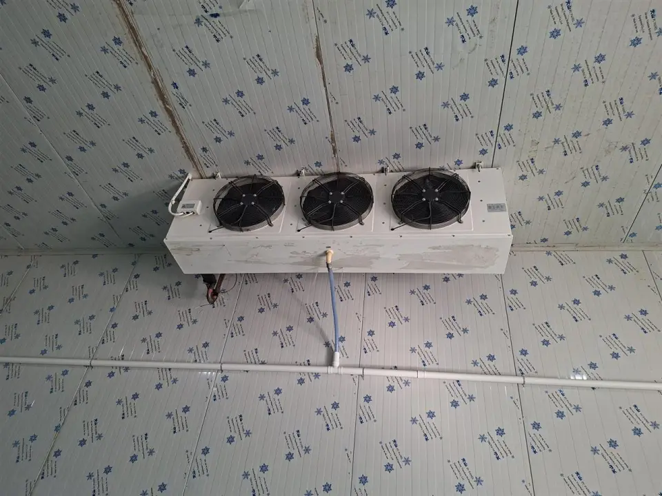 Închiriază Hala Ideală în Afumați, Ilfov - Condiții Optime de Depozitare Refrigerată - imaginea 2