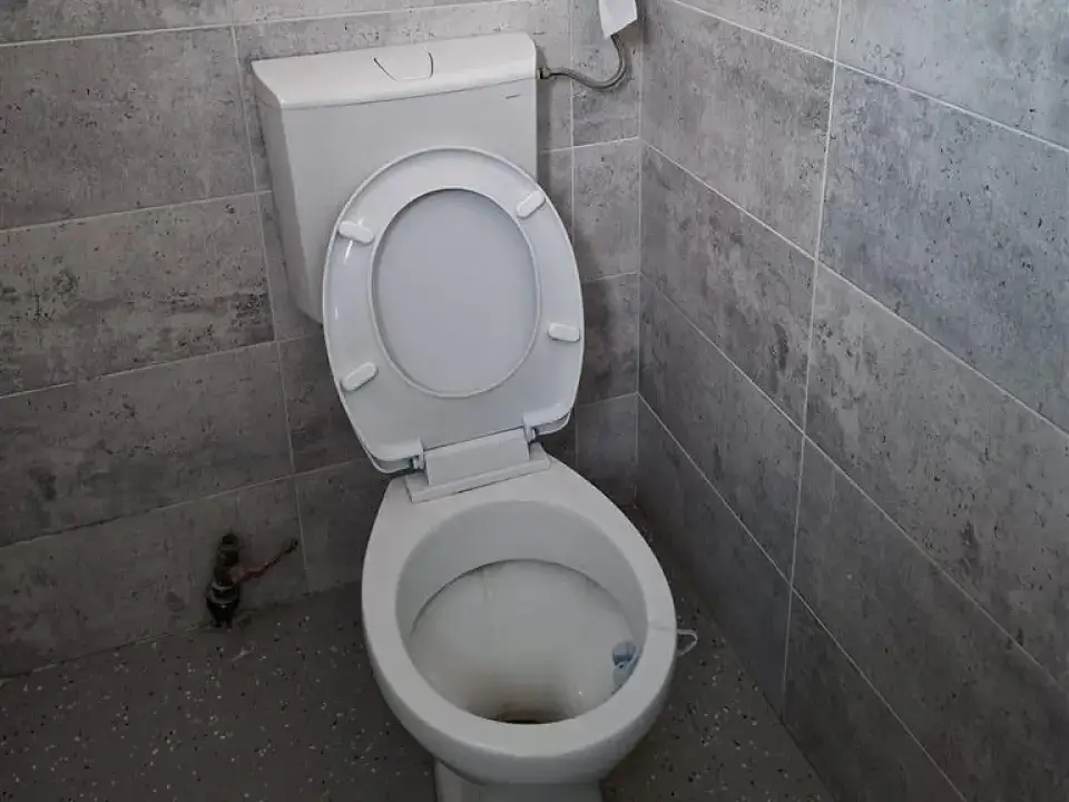 Hala de inchiriat in Afumati, Ilfov - Restaurant cu terasa si utilitati - imaginea 6