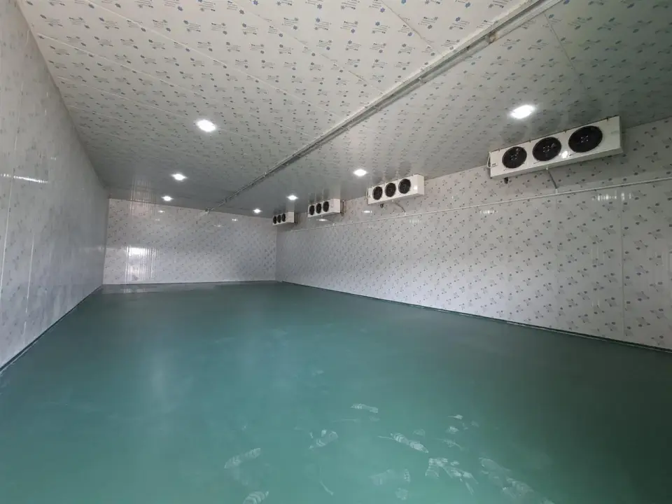 Hala industriala de inchiriat Afumati, Ilfov - Depozitare frigorifica 200 mp, acces rapid - imaginea 4
