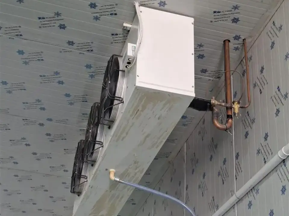 Închiriază Hala Ideală în Afumați, Ilfov - Condiții Optime de Depozitare Refrigerată - imaginea 3