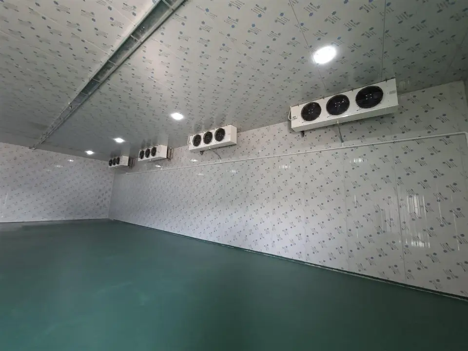 Hala industriala de inchiriat Afumati, Ilfov - Depozitare frigorifica 200 mp, acces rapid - imaginea 5