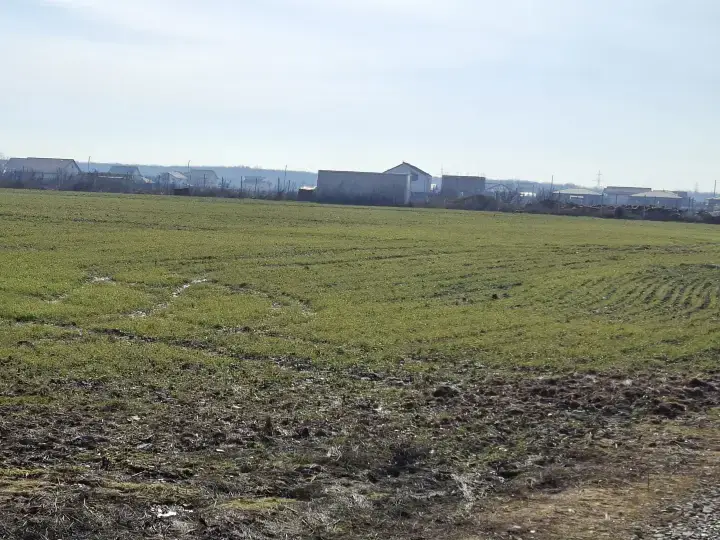 Teren Generos 12000 mp Intravilan în Balotești, Ilfov - Locație Liniștită Lângă Pădure - imaginea 2