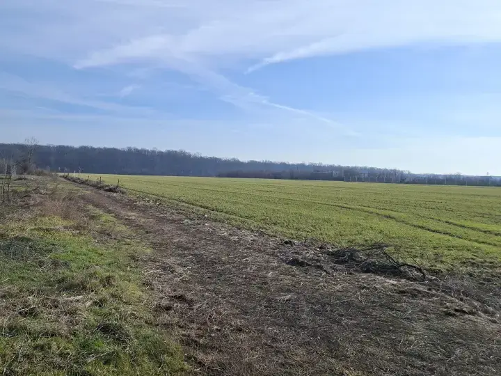 Teren Generos 12000 mp Intravilan în Balotești, Ilfov - Locație Liniștită Lângă Pădure