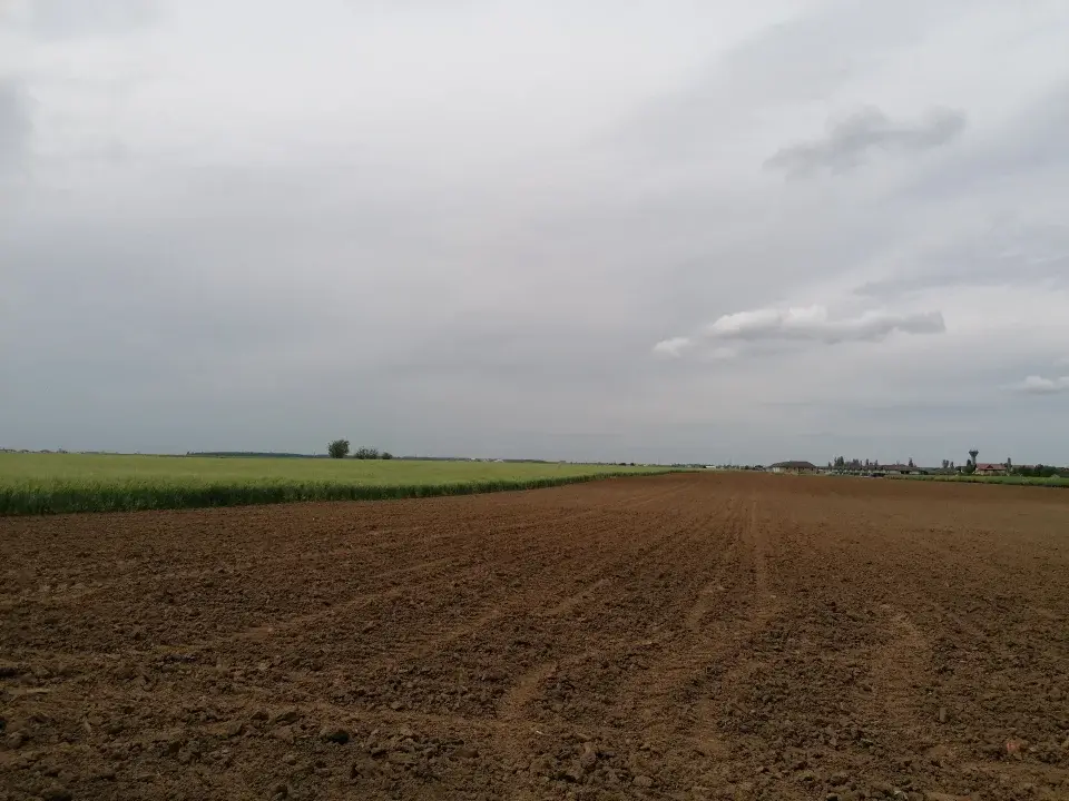 Oportunitate teren intravilan Balotești, Ilfov - 6500 mp pentru construcții rezidențiale - imaginea 4