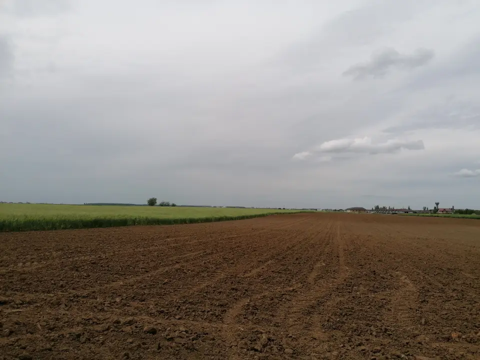 Investiție Imobiliară: Teren intravilan Balotești, Ilfov – 16700 mp pentru Vile - imaginea 3