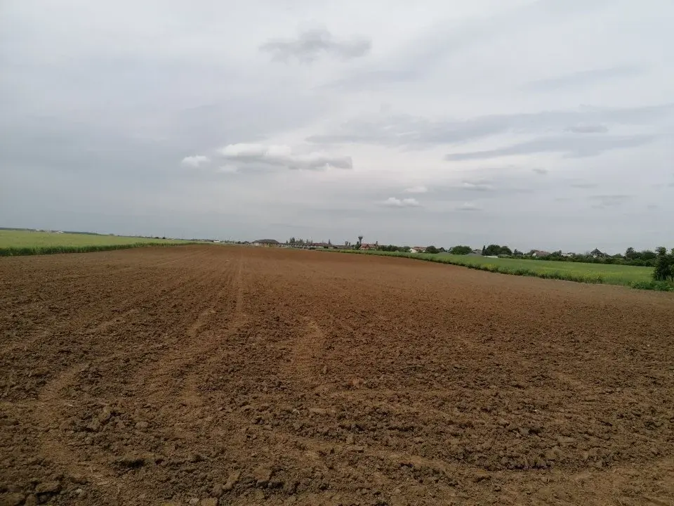 Oportunitate Unică: Teren Intravilan de Vânzare în Balotești, Ilfov - 55.000 mp - imaginea 2