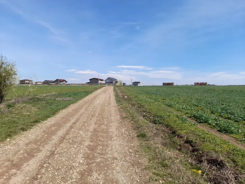 Teren Balotești, Ilfov - 5000 mp Intravilan cu Acces Lac și Utilități Stradale - imaginea 4