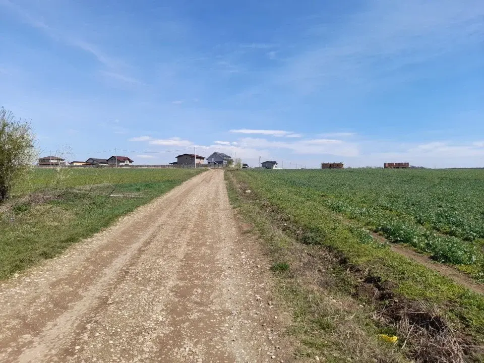 Loturi de teren intravilan de vânzare Balotești, Ilfov - Acces lac și utilități, suprafață generoasă - imaginea 2