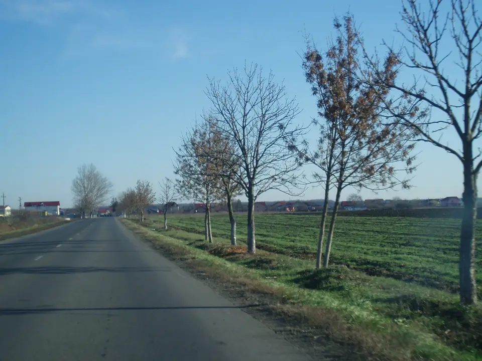 Teren intravilan 17.000 mp de vânzare în Buftea, Ilfov – Zonă Rezidențială, Aproape Centură Nouă - imaginea 2