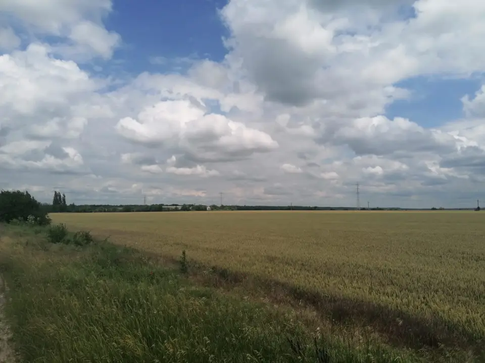Teren Intravilan Buftea, Ilfov - 52.000 mp Ideali Pentru Dezvoltari Industriale Si Comerciale - imaginea 2