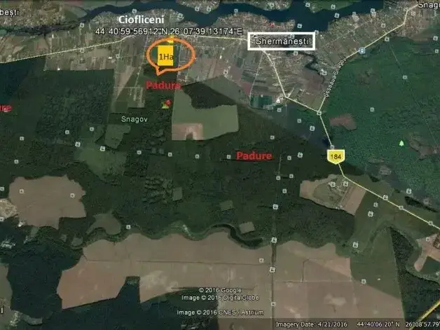 Teren Rezidențial în Cioflinceni, Ilfov - 1 Hectare cu Acces Direct la Pădure - imaginea 3