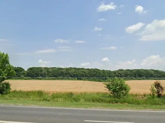 Teren de vanzare Ciolpani, Ilfov - Suprafata generoasa, proximitate DN1 si padure