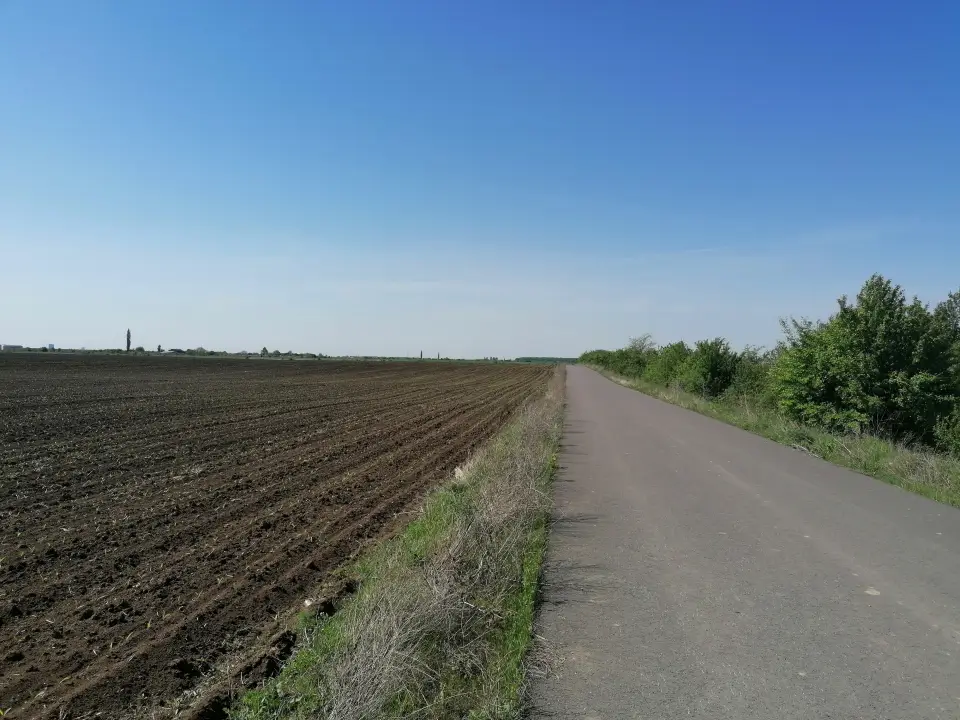 Vânzare teren Corbeanca, Ilfov – 25000 mp cu PUZ aprobat pentru loturi individuale de case - imaginea 2