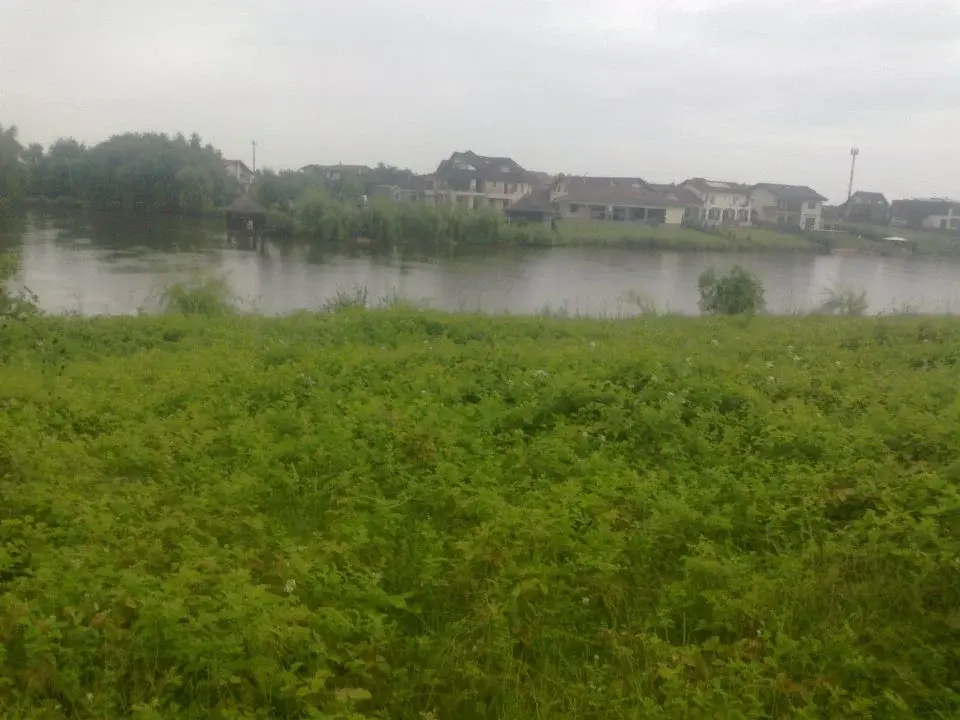 Terenuri de vânzare Corbeanca, Ilfov - Vederi panoramice spre lac și pădure, oportunitate de construire - imaginea 2