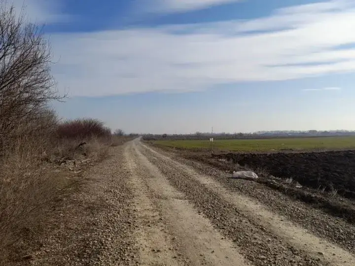 Teren Imens de Vânzare în Corbeanca, Ilfov - Potențial Mare de Dezvoltare - imaginea 5