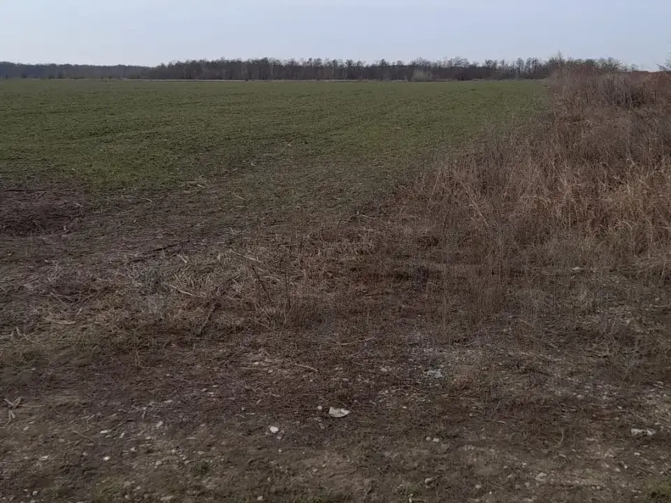 Teren de vânzare în Corbeanca, Ilfov - Oportunitate de dezvoltare rezidențială și investițională - imaginea 3
