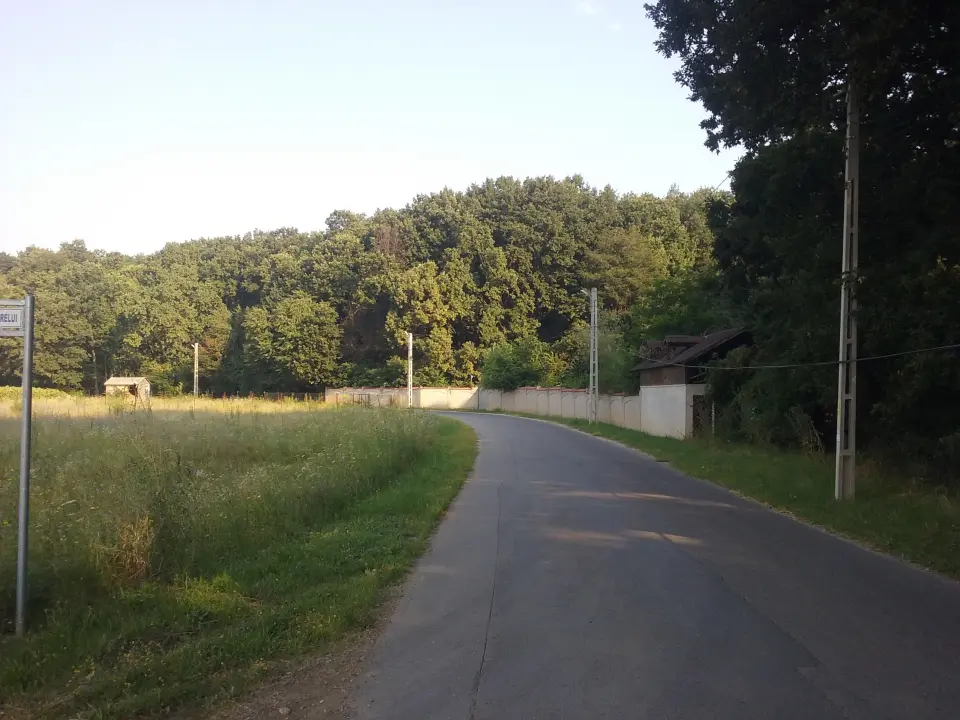 Parcelă de teren în Corbeanca, Ilfov - 10.000 mp, ideal pentru construcție rezidențială - imaginea 2