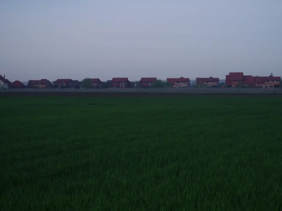 Oportunitate Unică: Teren Mare de Vânzare Corbeanca, Ilfov - 3.5 Ha, La Șosea, Utilități - imaginea 2