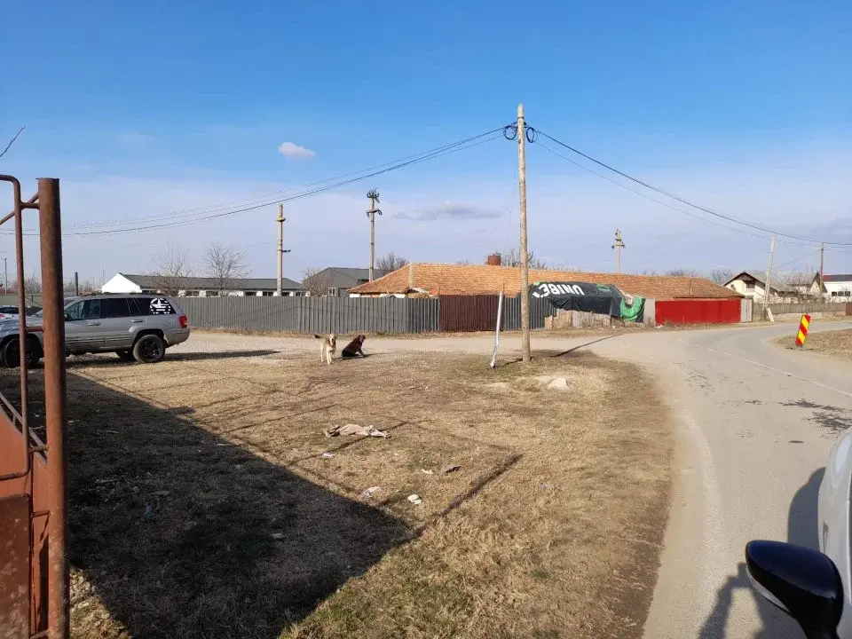 Investitie Teren Intravilan 10.000 mp in Dascălu, Ilfov - Potențial Industrial