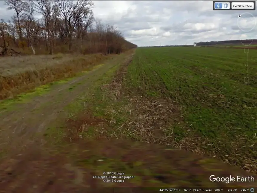 Oportunitate de Investiție: Teren Intravilan 10 Ha în Dascălu, Ilfov - Lângă Pădure și Autostradă - imaginea 3