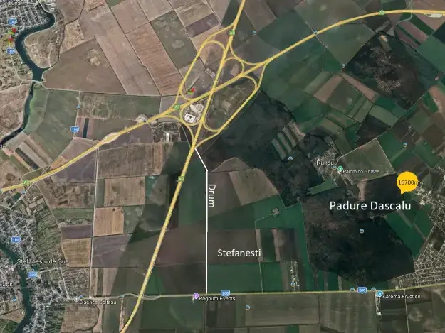 Investitie Teren Dascalu, Ilfov - 16700 mp, Vedere Superba la Padure - imaginea 3