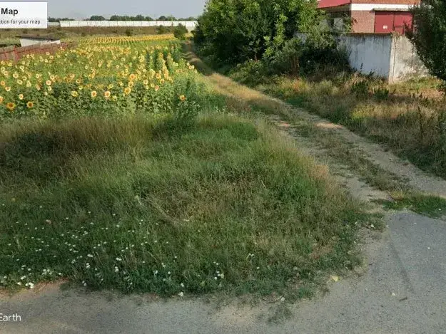 Teren extravilan Gruiu, Ilfov - 4800 mp, acces rapid A3, lângă case noi - imaginea 2