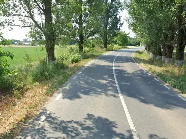 Teren Intravilan de Vânzare Gruiu, Ilfov - 1900 mp, Poziție Excelentă lângă Drum Județean, Aproape de Lacul Snagov