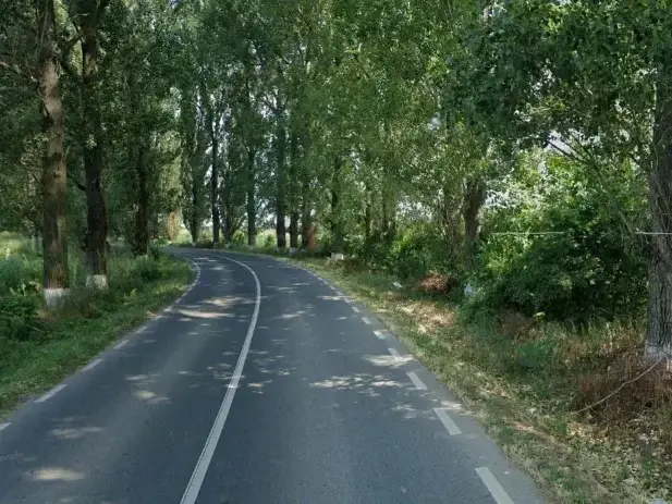 Teren Intravilan de Vânzare Gruiu, Ilfov - 1900 mp, Poziție Excelentă lângă Drum Județean, Aproape de Lacul Snagov - imaginea 2