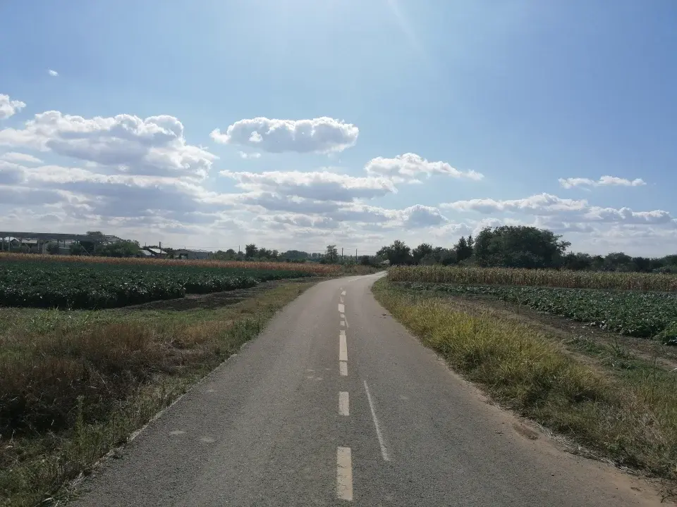 Teren de vanzare Gruiu, Ilfov - 15300 mp, 69m deschidere la drum asfaltat