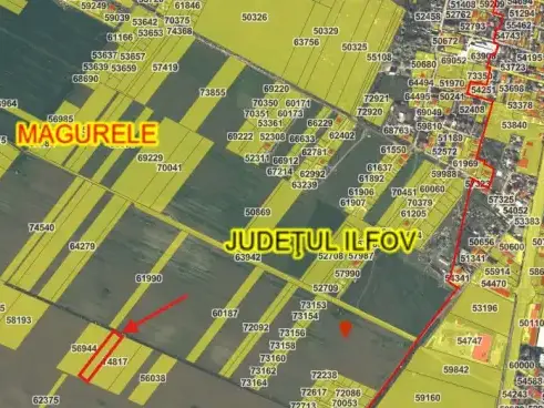 Teren Măgurele, Ilfov | 4451 mp intravilan pentru vânzare - imaginea 3