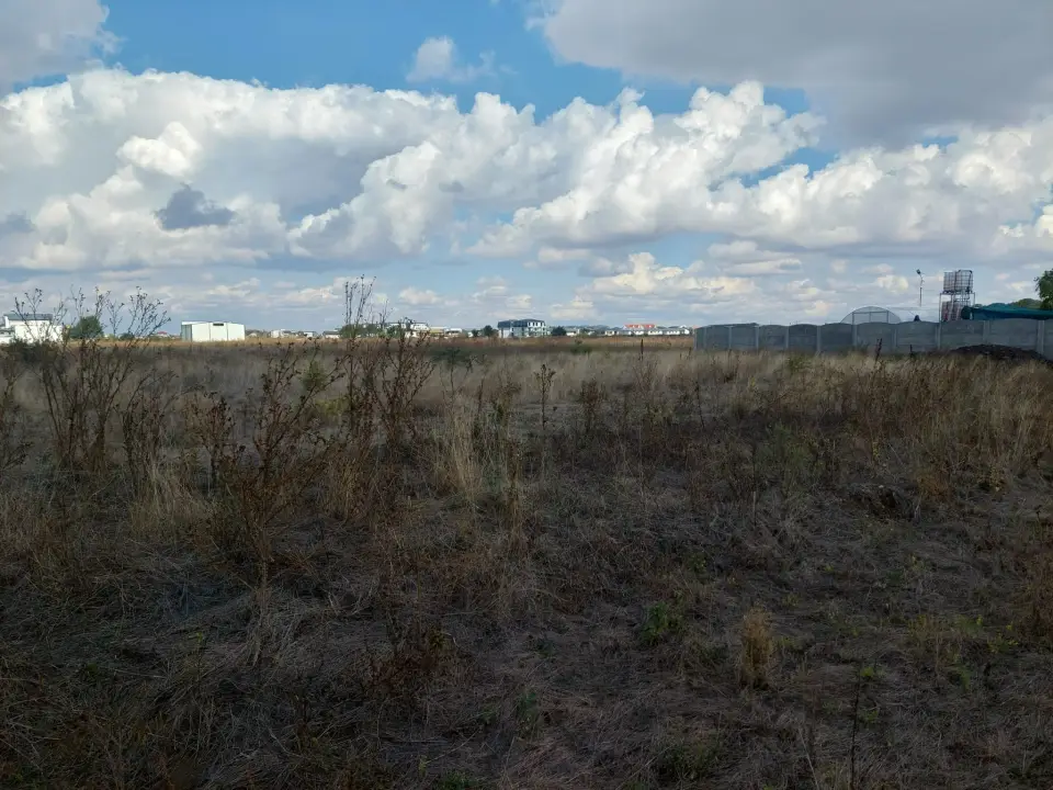 Investeste in Otopeni, Ilfov: Teren intravilan 1300 mp la vanzare - imaginea 3