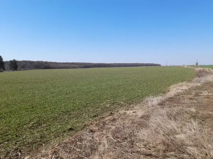 Teren Intravilan de Vânzare Săftica, Ilfov - 16800 mp cu Vederi Spre Lac și Pădure