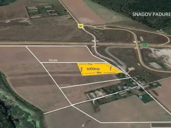 Investiție Strategică: Teren Intravilan 6000 mp de Vânzare în Snagov, Ilfov - Acces Autostradă A3 - imaginea 2