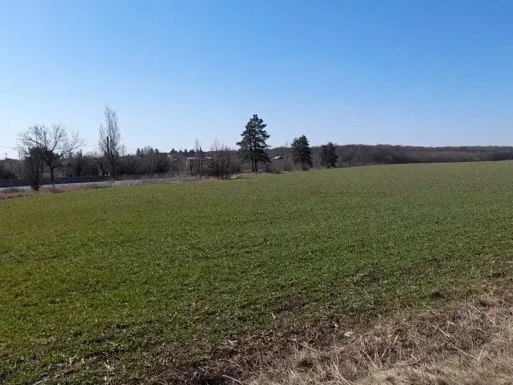Teren Extravilan Snagov (Saftica), Ilfov - Lângă DN1, cu Vederi Panoramice