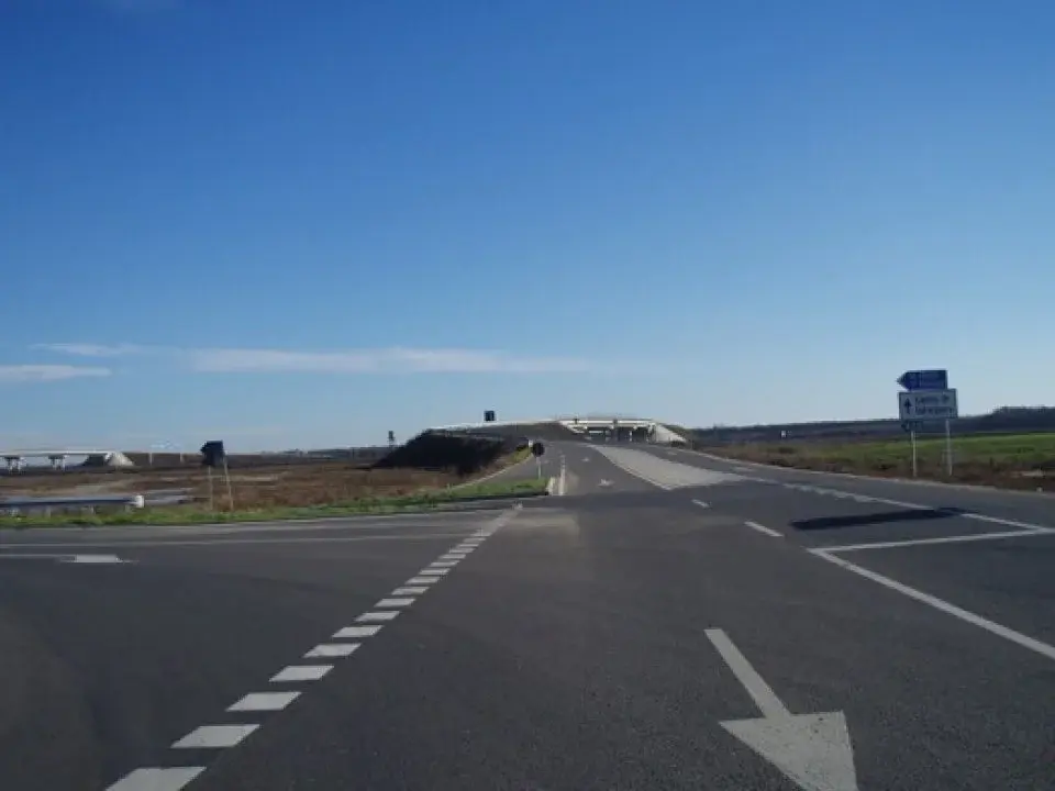 Teren Snagov, Ilfov: 3500 mp intravilan cu acces extins la lac și priveliște spre pădure