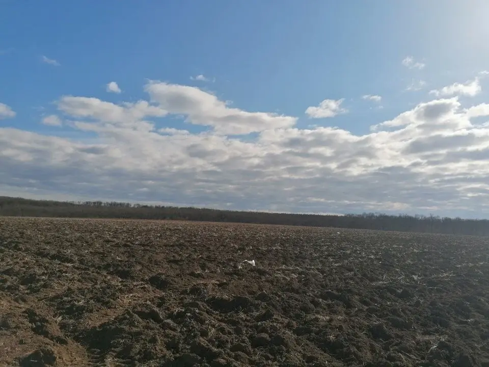 Teren de Vânzare 7000 mp Snagov, Ilfov - Acces Direct Autostrada A3, Zonă Mixtă - imaginea 4