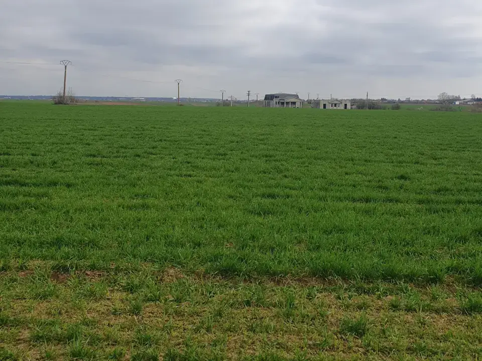 Teren de Vânzare Snagov, Ilfov - 4500 mp Intravilan, Acces DN1, PUG Avantajos - imaginea 2