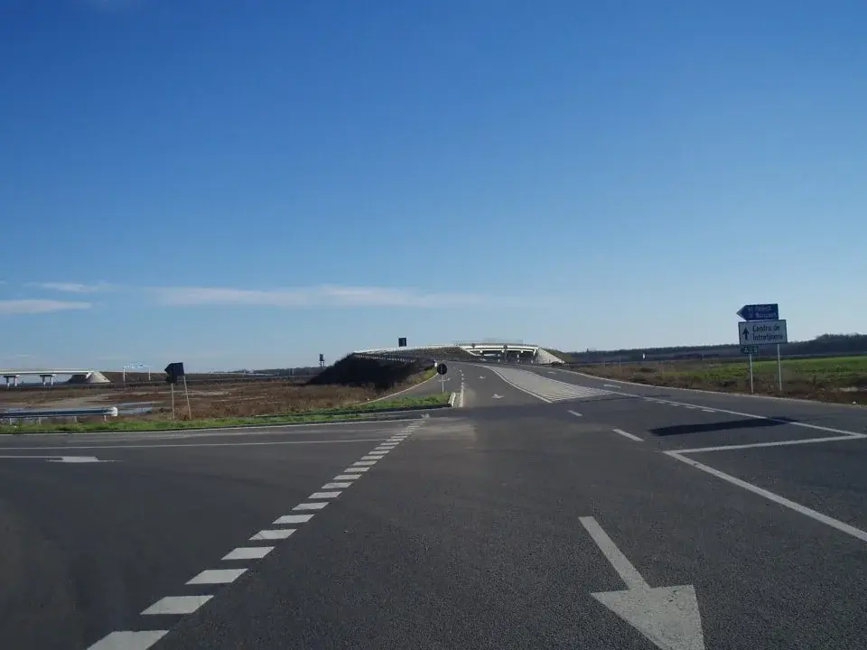 Teren Intravilan Snagov, Ilfov - Oportunitate Unică, 5000 mp, Acces Direct la Pădure