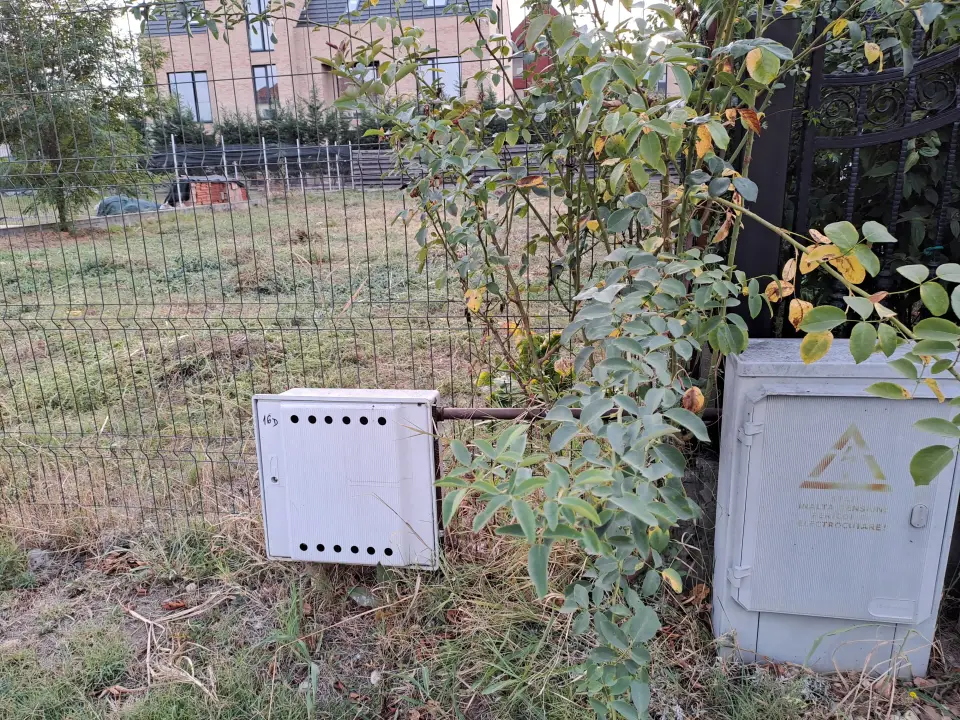 Oportunitate: Teren de vanzare in Tamași, Ilfov - Aproape de natură și facilități - imaginea 3