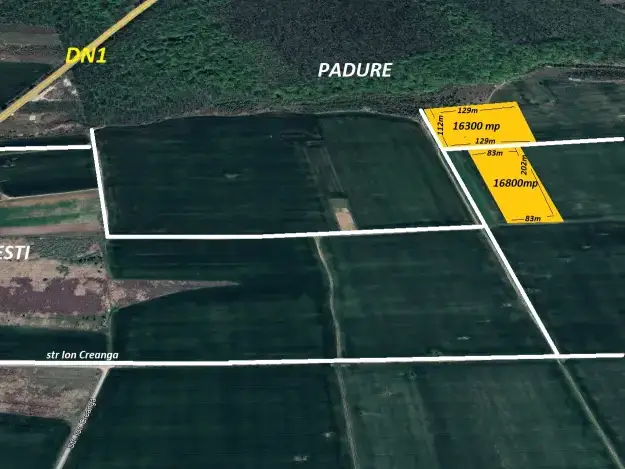 Teren de vânzare în Tâncăbești, Ilfov - 16800 mp, acces la utilități, aproape de DN1 - imaginea 3